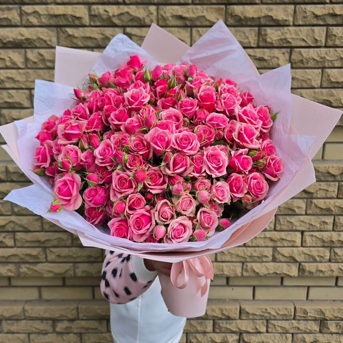 Роза кустовая 21шт.